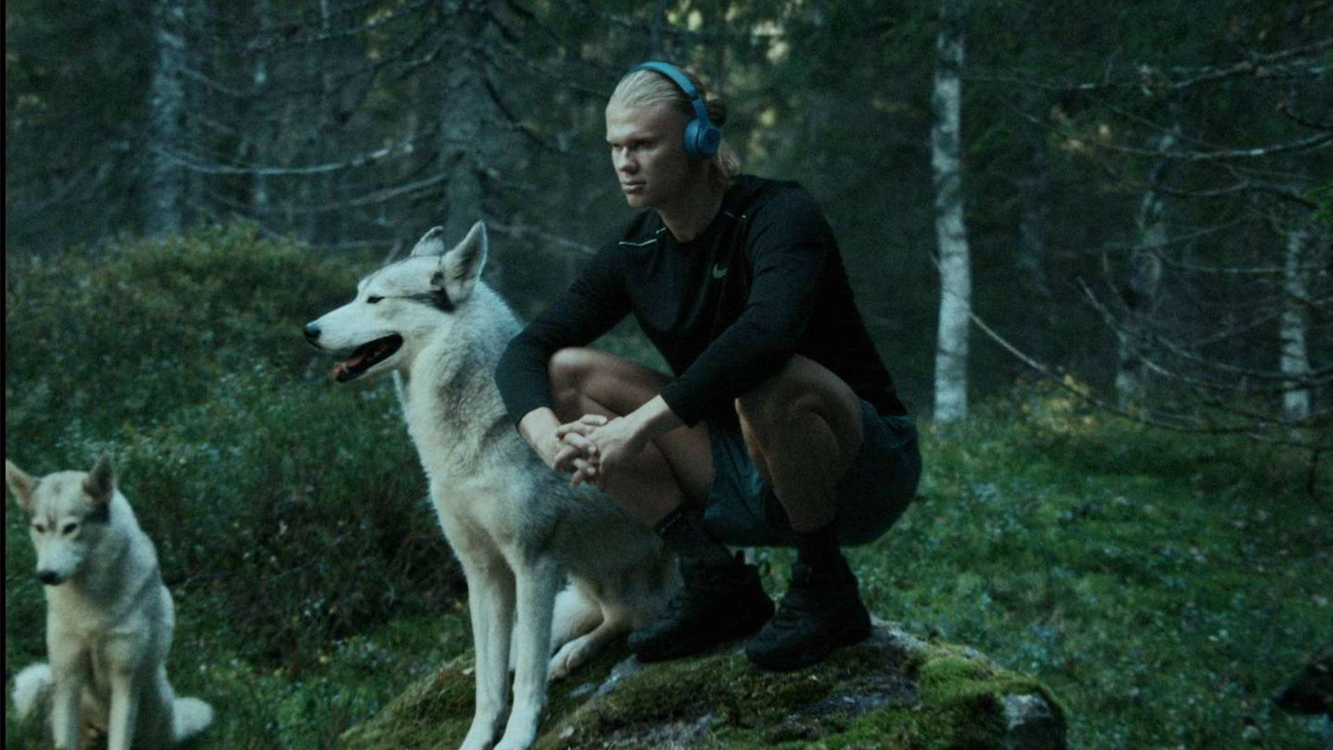 这一奖项不 这一奖项不